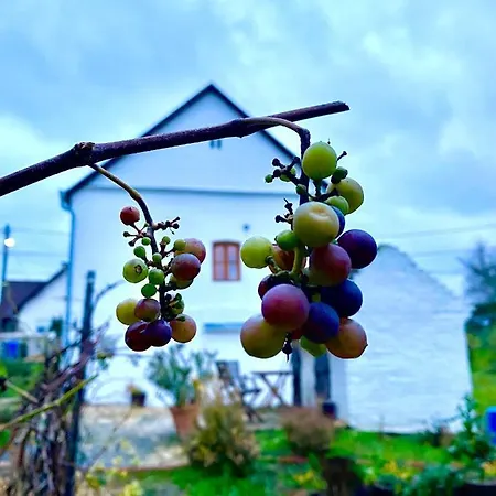 Vb36 Vendeghaz Villa