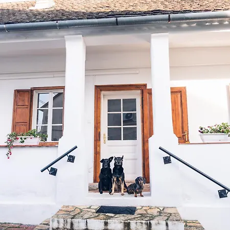 Villa Vb36 Vendeghaz