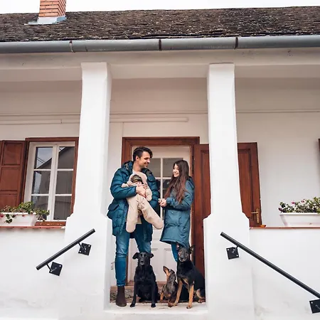 Villa Vb36 Vendeghaz Villány