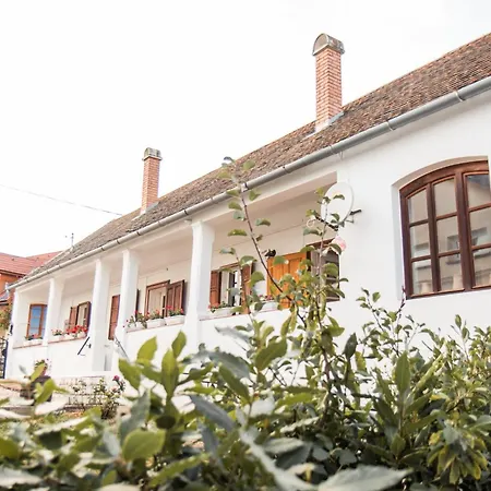 Vb36 Vendeghaz Villa Villány